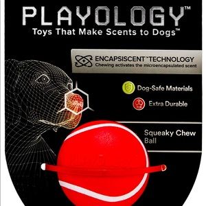 Dog toy